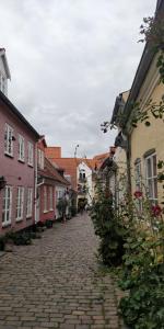 eine Kopfsteinpflasterstraße in einer Stadt mit Gebäuden in der Unterkunft Apartment in the heart of Aalborg in Aalborg