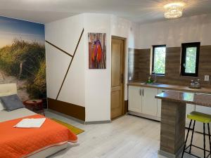 Cuisine ou kitchenette dans l'établissement Garsoniera centrală lux Royal