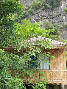 un edificio de bambú con un árbol delante de él en Thung lũng xanh Tràng An en Nguyên Ngoại