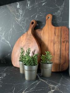 two wooden cutting boards and two potted plants on a counter at Metro Trocka Apartment in Warsaw