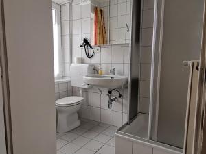 bagno con servizi igienici e lavandino di Carinthia Appartements a Mallnitz