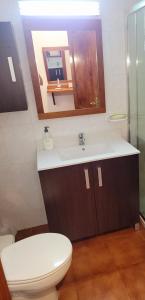 bagno con servizi igienici, lavandino e specchio di Alojamientos Nicasio a Tejeda