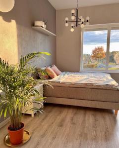 a bedroom with a bed and a window at Zeltāres in Jelgava