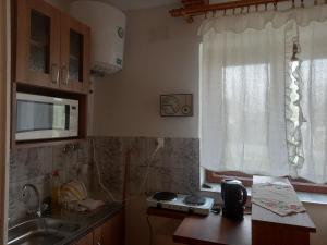 een keuken met een aanrecht, een wastafel en een raam bij GALAMBLAK Vendégház in Abaújszántó