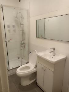 La salle de bains est pourvue d'une douche, de toilettes et d'un lavabo. dans l'établissement Casa Paraiso Hotel, à Santiago