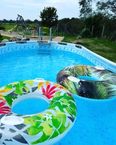 ein Pool mit farbenfrohem Poolspielzeug auf einem Spielplatz in der Unterkunft Zeltāres in Jelgava