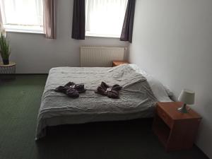 Postel nebo postele na pokoji v ubytování Gościniec Silver