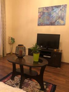 TV a/nebo společenská místnost v ubytování Byt s krásnou vyhlídkou na hotel Imperial