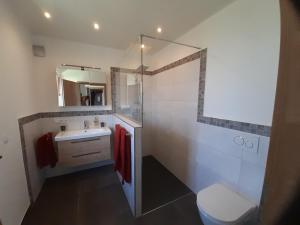een badkamer met een wastafel, een toilet en een spiegel bij Beim Schlafwandler in Virneburg