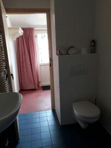 La salle de bains est pourvue de toilettes, d'un lavabo et d'une fenêtre. dans l'établissement Stal Zwartschaap, à Stuifzand