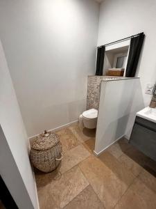 a bathroom with a toilet and a mirror at Le Domaine du Nail in Mée