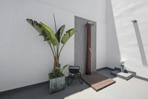 a potted plant in a room with a chair at Bella Home in Garachico