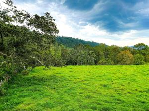 a green field with trees in the background at Alaia Casa Campo By Hospedify, Propiedad de Lujo para 6, cerca de la naturaleza y el Río in Jarabacoa