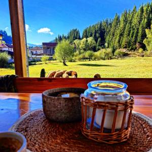 un tarro sobre una mesa con vistas a un campo en Семейна вила Рай Буйново fаmilly villa Paradise Buynovo, en Popovo