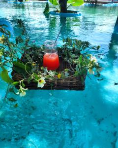 a glass of juice in a basket in the water at Anacardium in Canoa Quebrada