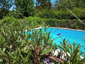 Bazén v ubytování Cabaña monoambiente con pileta y jardín arbolado nebo v jeho okolí