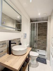een badkamer met een wastafel, een toilet en een douche bij GRAND T2 GARE AMIENS TOUT CONFORT 2PERS WIFI in Amiens