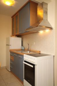 Kuchyň nebo kuchyňský kout v ubytování Apartment Rukavac 8839a