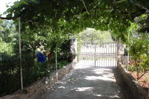 Zahrada ubytování Apartments and rooms with parking space Bozava, Dugi otok - 8100