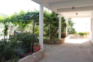 Zahrada ubytování Apartments and rooms with parking space Bozava, Dugi otok - 8100