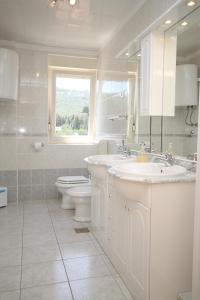 a bathroom with a sink and a toilet and a window at Apartment Bozava 8100a in Božava