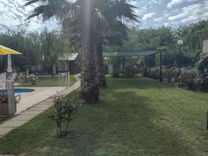 una palmera en medio de un patio en Cabañas Midelem en Chascomús