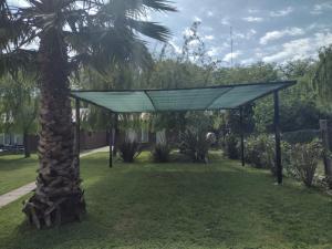 a canopy over a palm tree in a park at Cabañas Midelem in Chascomús