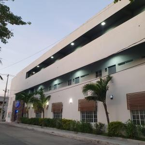 un grand bâtiment blanc avec des palmiers devant lui dans l'établissement Hotel Suites del Mar, à Palmas
