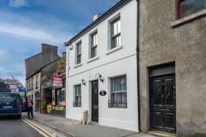 un chien assis sur un trottoir devant un bâtiment blanc dans l'établissement Number 31 Boutique Townhouse, à Galway