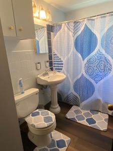 a bathroom with a toilet and a sink at Spacious 3bedroom free wine,WiFi,and parking in Milwaukee