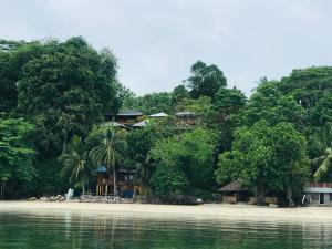a house on the shore of a beach with trees at Panorama Cottage in Bunaken