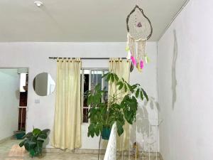 La Casa Hostal De Vijes في Vijes: زرع في غرفة مع نافذة