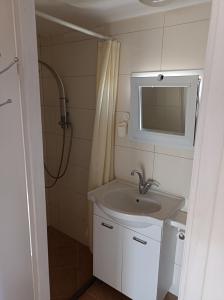 een badkamer met een wastafel en een douche met een spiegel bij Adi studio in Arad