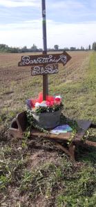 um sinal no meio de um campo com flores em B&B Barbettini em Bereguardo