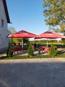 zwei rote Regenschirme, Tische und Stühle in einem Park in der Unterkunft Cazare Pensiunea Ewo 