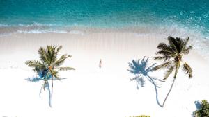 una vista aérea de una playa con palmeras y el océano en Shoreline Grand en Thoddoo