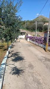 eine unbefestigte Straße mit Bäumen und lila Blumen in der Unterkunft Country House Gaeta in Gaeta