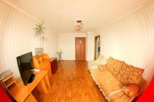 a living room with a couch and a tv at Dekabrist apartment at petrovsko-zavodskaya 31 in Chita