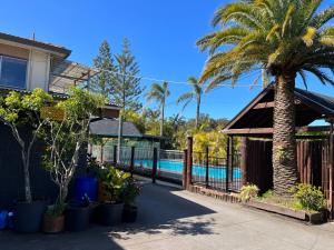 a house with a palm tree and a swimming pool at Central Jetty Motel in The Entrance