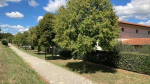 A garden outside Country house al Toppo