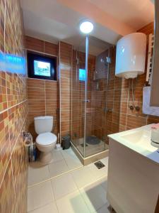 Koupelna v ubytování Apartman Lisica 24