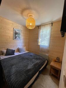 a bedroom with a bed and a chandelier at Chalet La joue du Loup in Le Dévoluy