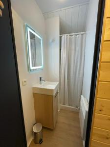 a bathroom with a sink and a mirror and a shower at Chalet La joue du Loup in Le Dévoluy