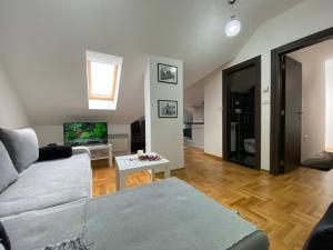 Μια τηλεόραση ή/και κέντρο ψυχαγωγίας στο Apartman Golden Hill