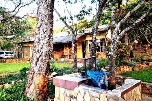 a house with a stone bench next to two trees at Remarkable 3-Bed Cottage in Nyanga in Juliasdale