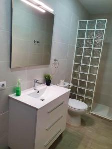 a bathroom with a sink and a toilet and a mirror at Stylish one bedroom apartment near the Drago Tree in Icod de los Vinos