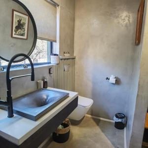 een badkamer met een wastafel, een toilet en een spiegel bij Honey Badger Safari House in Marloth Park