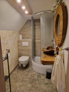 a bathroom with a shower and a toilet and a sink at koča na pikovem in Črna na Koroškem