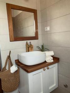 een badkamer met een wastafel en een spiegel bij NIKOLIJA 3 in Bajina Bašta