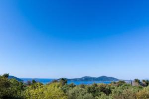 a view of the ocean from a hill with trees at Apartment Lula in Orasac